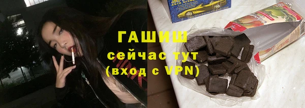 стаф Щигры