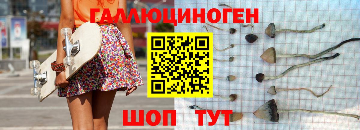 Псилоцибиновые грибы Psilocybine cubensis Псков