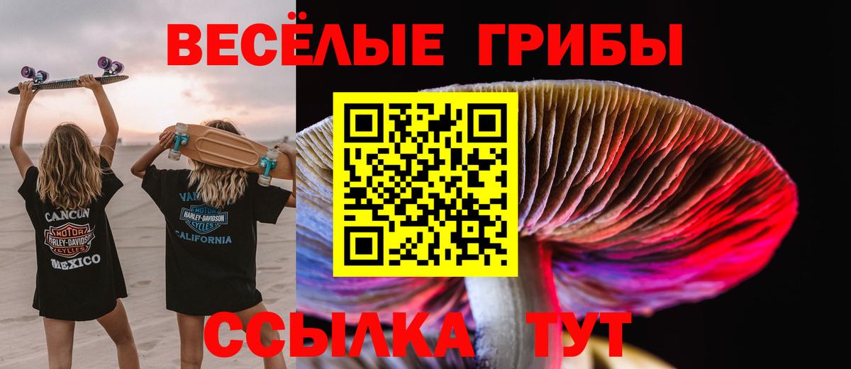 Псков  Псилоцибиновые грибы GOLDEN TEACHER  Вход с VPN  Галлюциногенные грибы MAGIC MUSHROOMS 