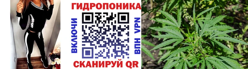 Каннабис планчик  Псков 